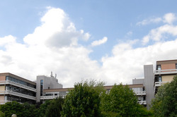 Emil-Figge-Straße 50 mit Wolken und grünen Bäumen im Hintergrund 